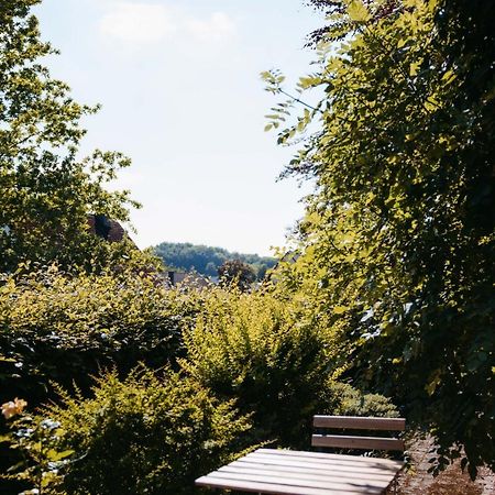 Ferienwohnung Kurpark Brilon Am Rothaarsteig Exteriör bild
